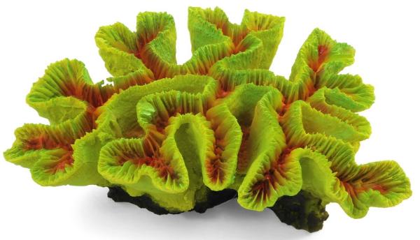 Laguna Коралл искусственный зеленый 709КА "Каталофиллия"