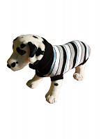 Ami Play Свитер для собак 30 см