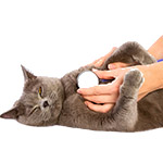 Стимуляторы обмена веществ