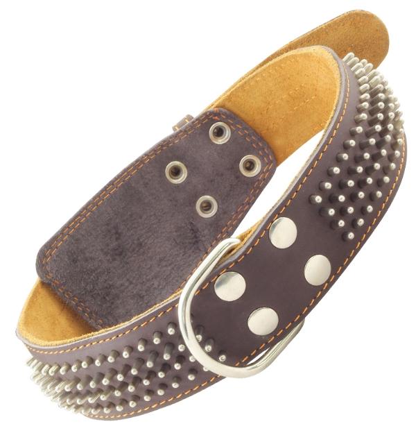 Ошейник Гамма двойной с кольцом и украшениями Еж