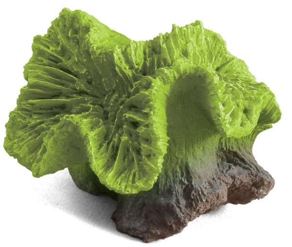 Laguna Коралл искусственный 2904LD "Каталофиллия" зеленая