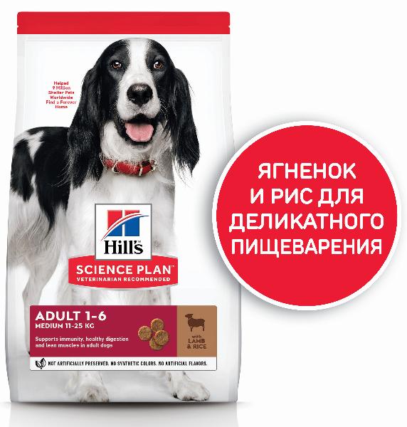 Hill's Science Plan для собак средних пород для поддержания иммунитета (ягненок, рис)