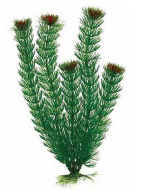 Barbus Пластиковое растение Амбулия