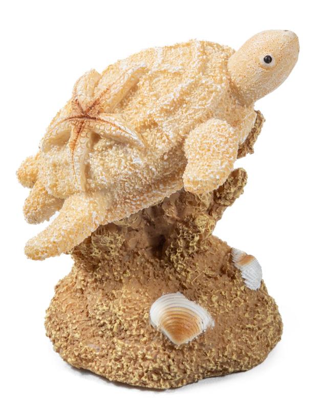 Laguna Грот Морская черепаха