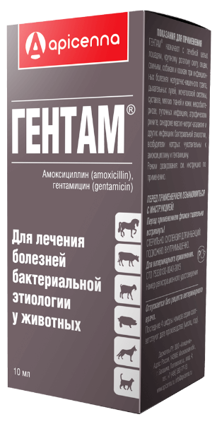 Apicenna Гентам