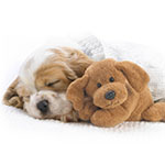 Успокоительные