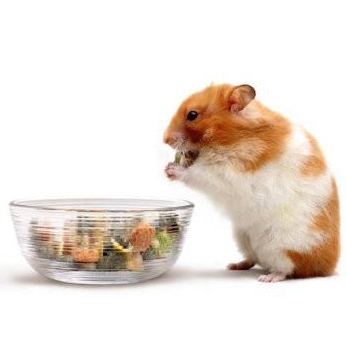 Витамины и добавки