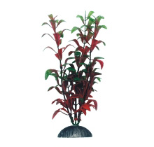 Boyu АР-074 Людвигия красно-зелёная