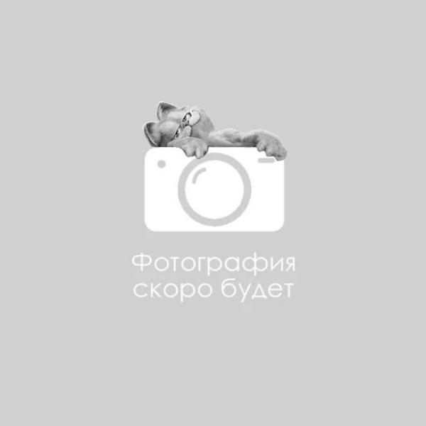 Ami Play Попона "Crazy", голубая с цветком