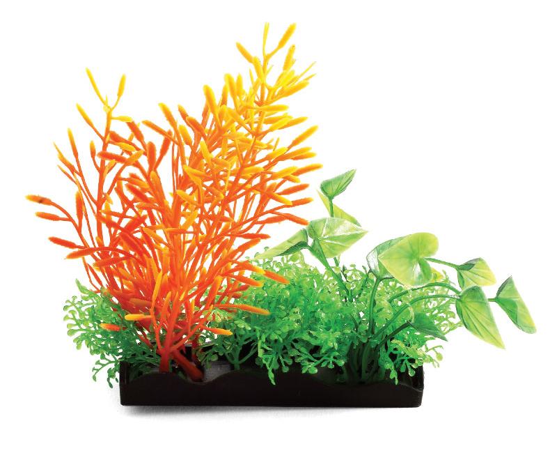 Laguna Растения композиция, оранжевая