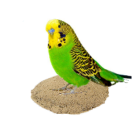 Наполнители, подстилки