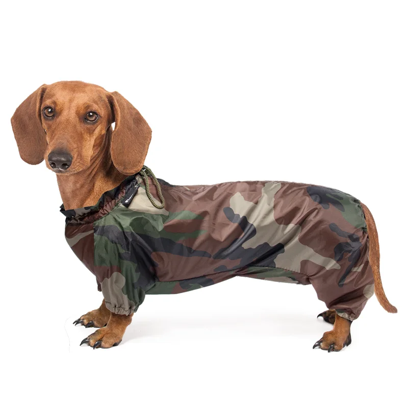 Gamma Комбинезон демисезонный Такса