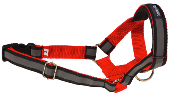 Недоуздок AmiPlay Shine N6 Deutsche Dogger (Красный)