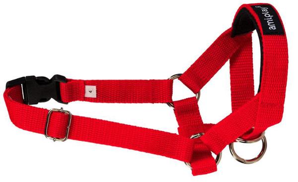 Недоуздок AmiPlay Basic N4 Labrador (Красный)