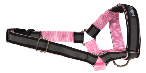 Недоуздок AmiPlay Shine N6 Deutsche Dogger (Розовый)