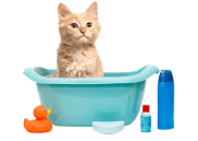 Косметика и средства по уходу