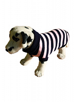 Ami Play Свитер для собак