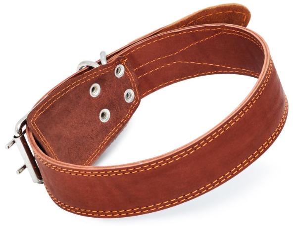 Ошейник "Гамма" двойной с двойным кольцом