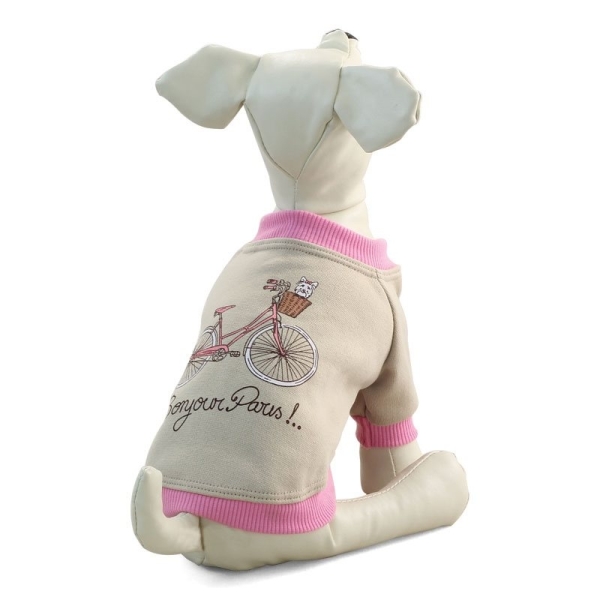 TR83 Толстовка "Париж"