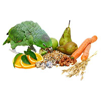 Витамины и добавки