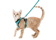 Поводки и ошейники