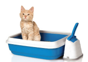 Лотки, совки