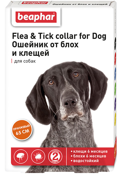 Ошейник от блох и клещей для собак (оранжевый)