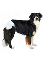 Подгузники "Trixie" для собак, 12 шт