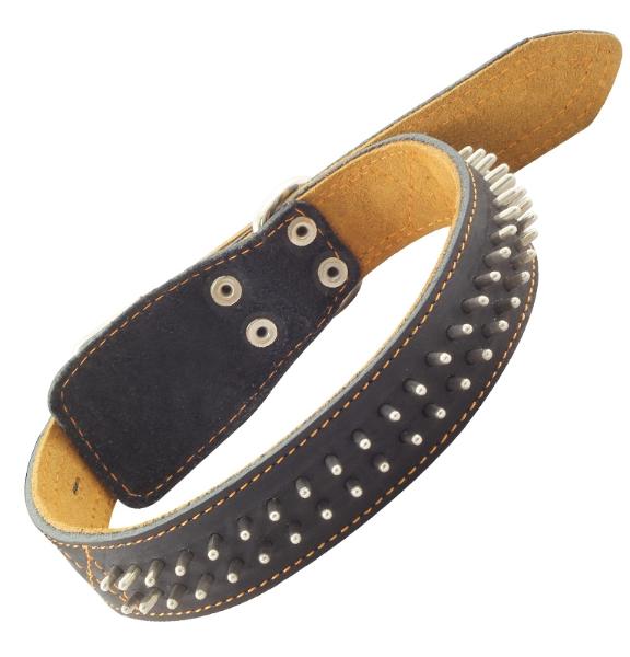 Ошейник "Гамма" кожаный двойной с украшением "Еж"