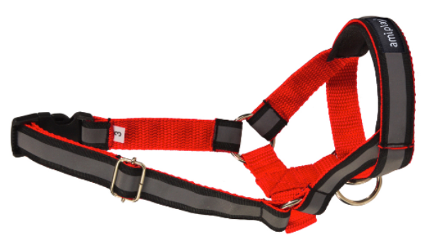 Недоуздок AmiPlay Shine N5 Rotweiller (Красный)