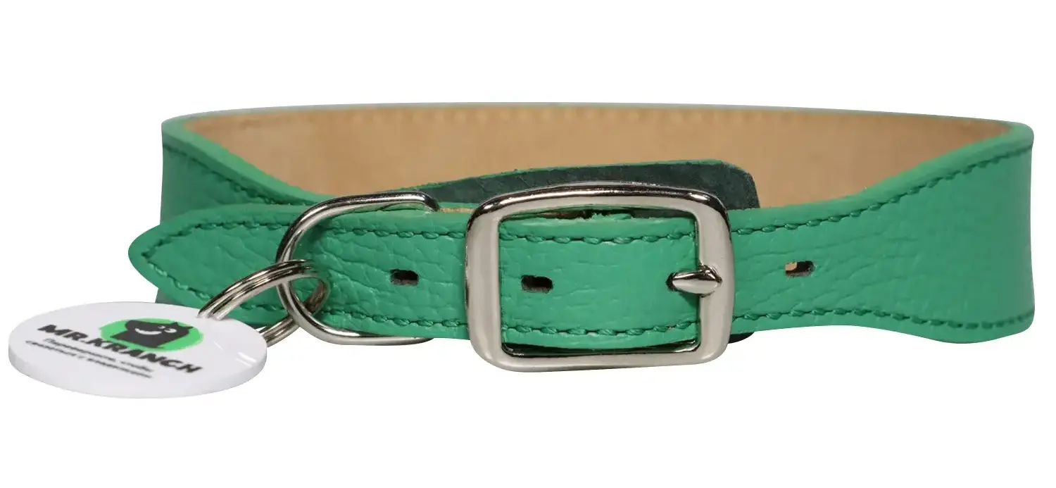 Mr.Kranch Ошейник кожаный с QR-адресником, зеленый