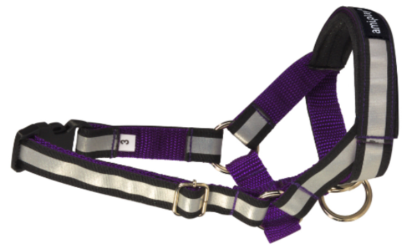 Недоуздок AmiPlay Shine N6 Deutsche Dogger (Фиолетовый)