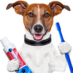 Стоматология