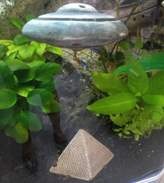 Laguna Грот парящий "НЛО"