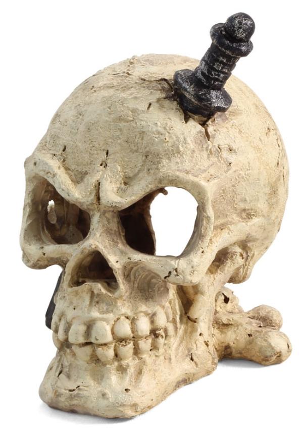 Laguna Грот 2805LD "Череп пирата"