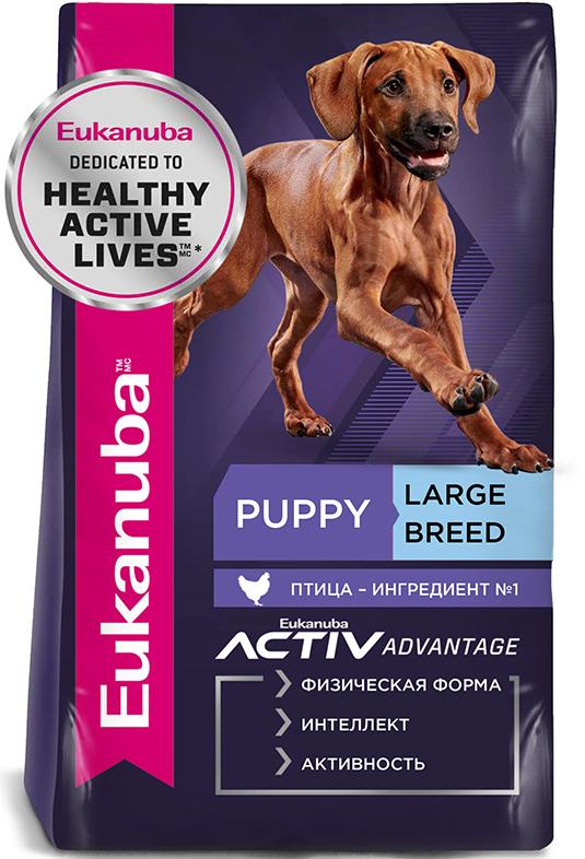 Eukanuba Puppy Large Breed (Птица)