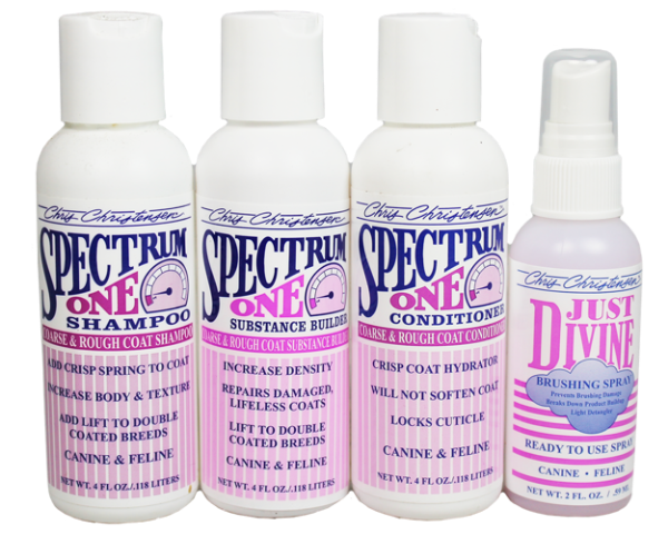 CCS Spectrum One System Kit