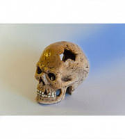 Грот "Череп" ГП2