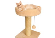 Когтеточки