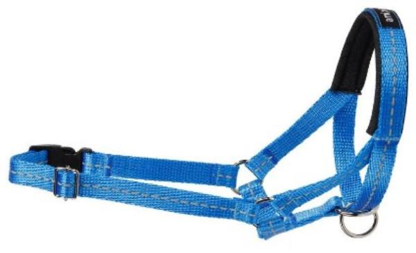 Недоуздок AmiPlay Reflective (Голубой)