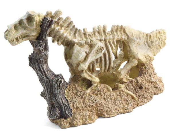 Laguna Грот 2804LD "Скелет динозавра"