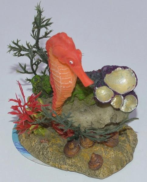 Marlin Aquarium Грот Морской конек красный