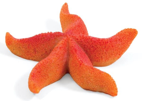 Laguna Звезда морская искусственная 2921LD "Астерина мини"