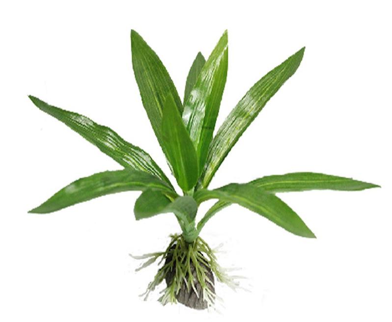 Marlin Aquarium Искусственное растение Эхинодорус оцелот, 15 см