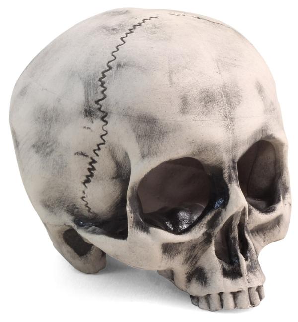 Laguna Грот 2808LD "Капитан Флинт"