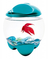 Tetra Аквариум "Бетта Bubble turquoise" 1,8 л