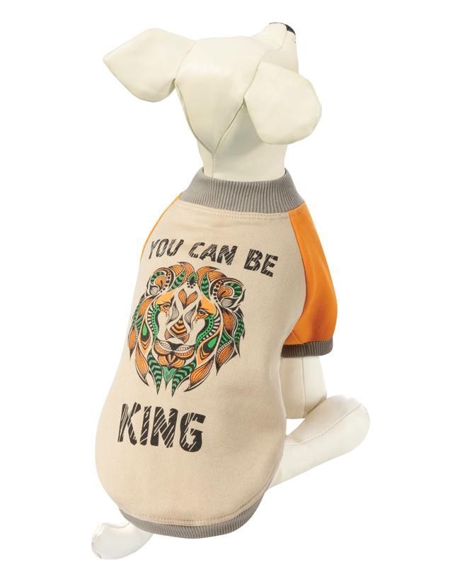 Triol Толстовка Царь зверей