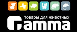 GAMMA