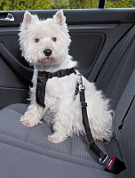 Поводок AmiPlay для перевозки в автомобиле