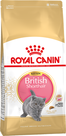 Royal Canin British Shorthair Kitten